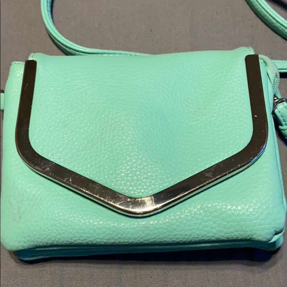 Mint Green Purse